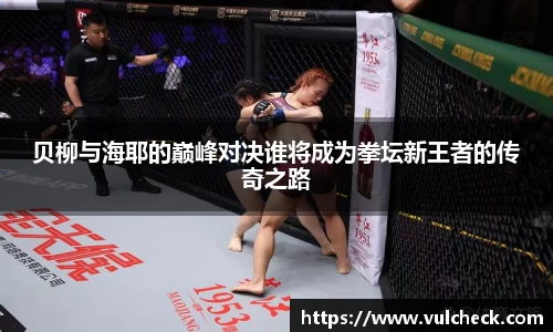 贝柳与海耶的巅峰对决谁将成为拳坛新王者的传奇之路